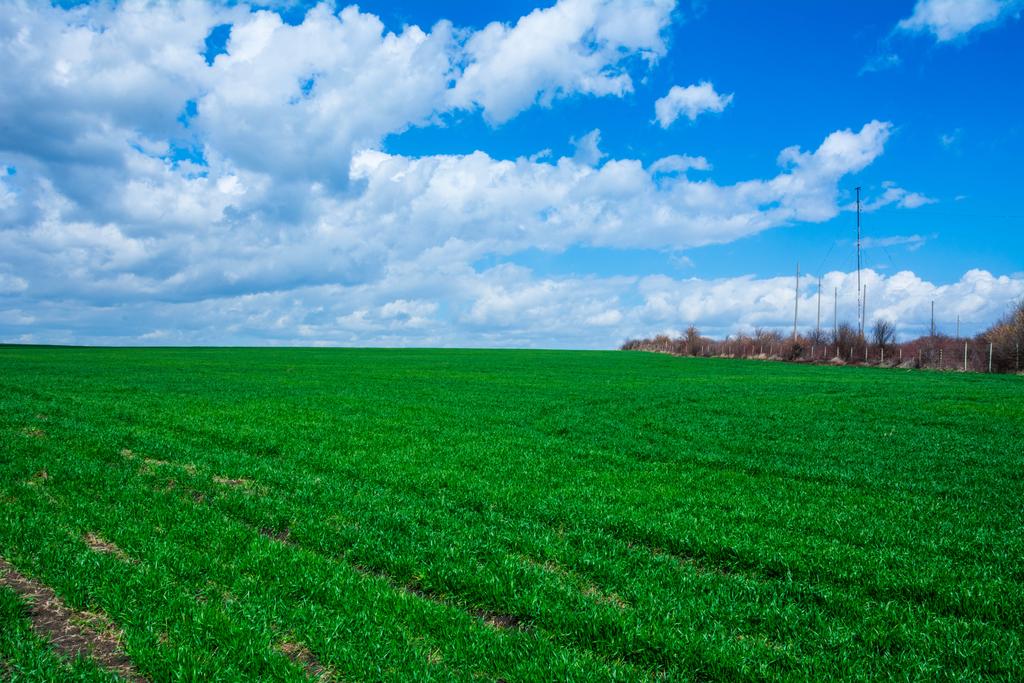 Landscape photograph Grass and clouds in the sky. by Julius Metodiev on PhotoCodex