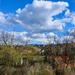 HDR view from my window