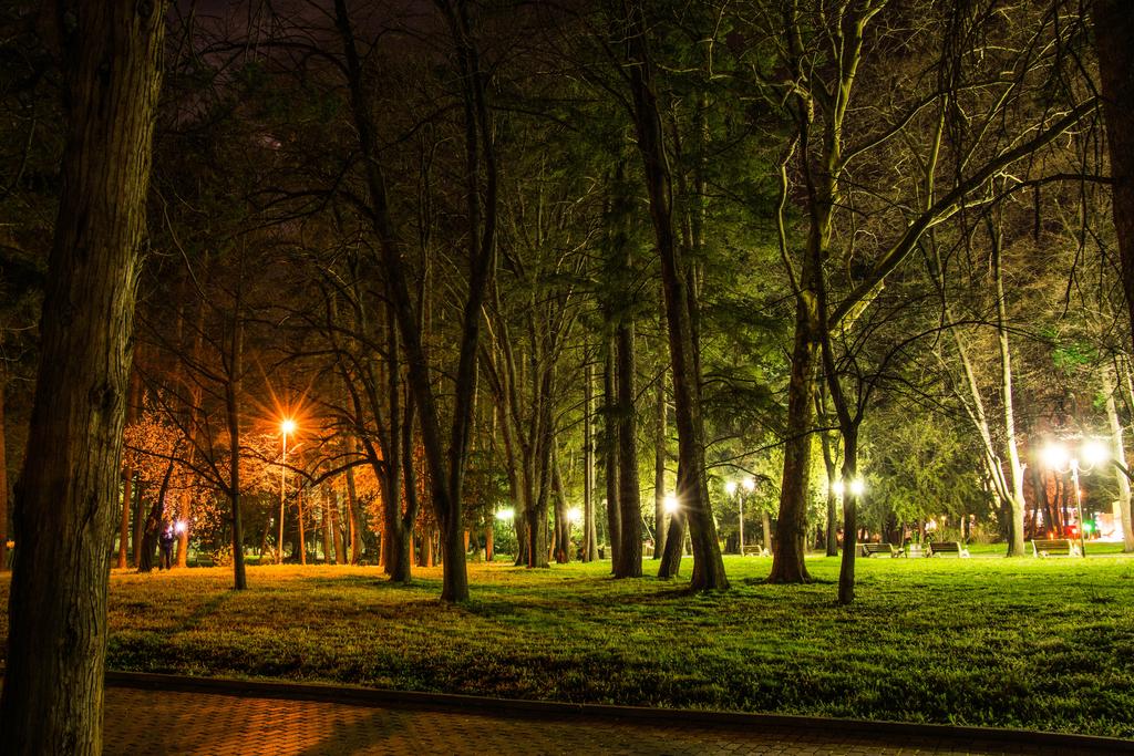 Night photograph Night In the park. by Julius Metodiev on PhotoCodex