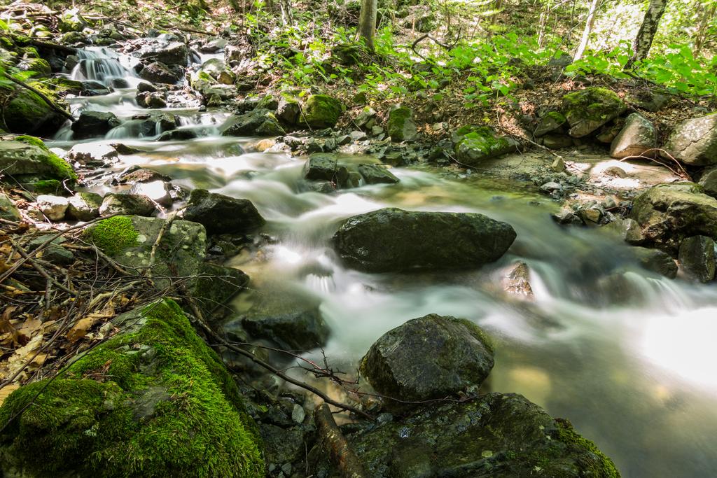 Landscape, Nature photograph Драгалевска река / Dragalevska River. by Sergey Vasilev on PhotoCodex