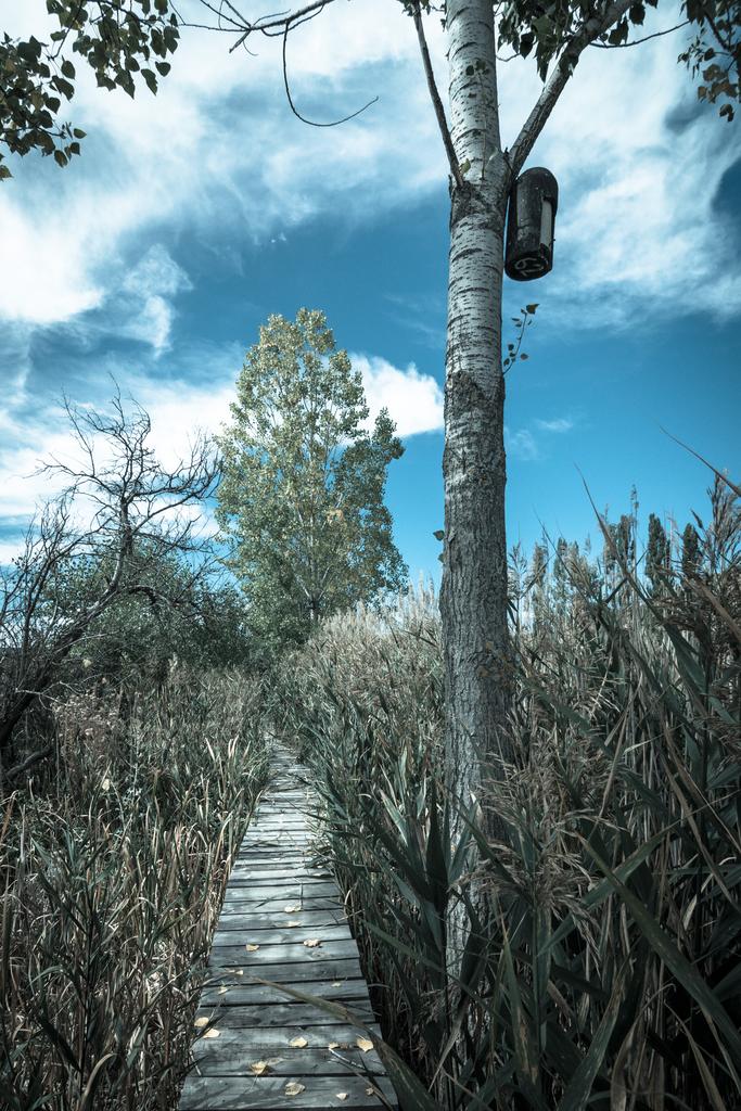 Landscape photograph The Dragoman marsh in late summer. by Sergey Vasilev on PhotoCodex