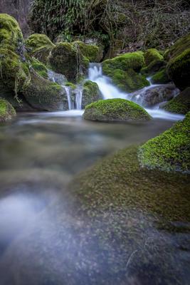 River Skaklya close to the Vazov's Eco trail