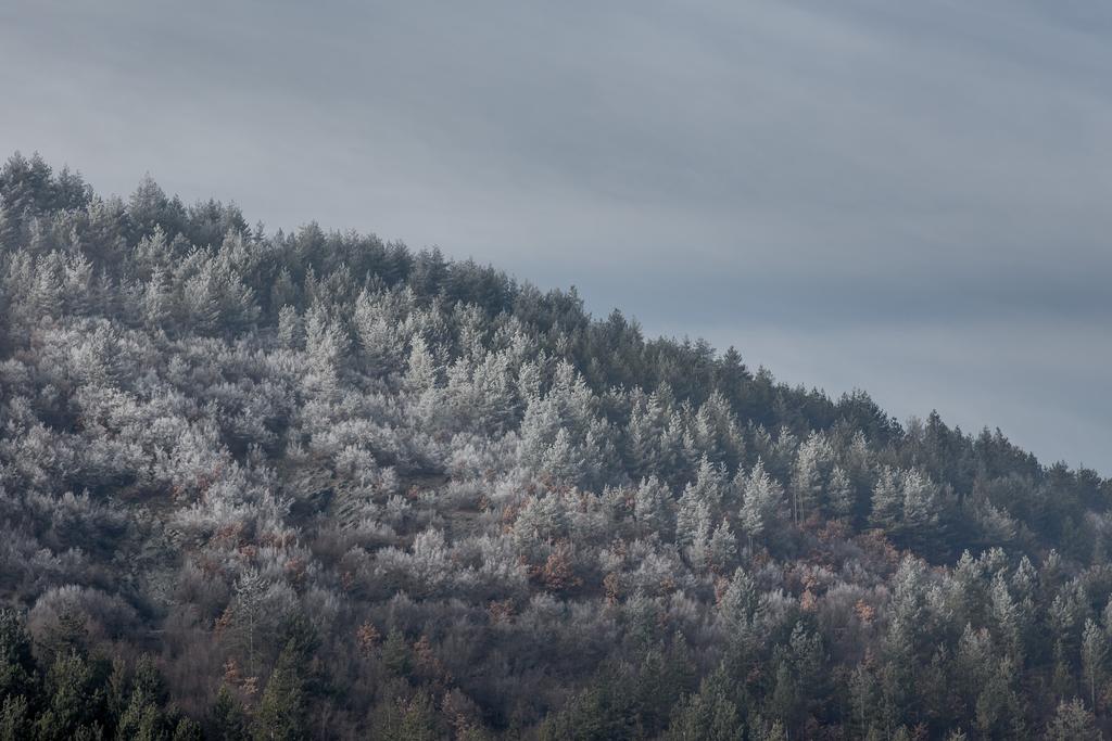 Landscape photograph Somewhere in the mist. by Sergey Vasilev on PhotoCodex