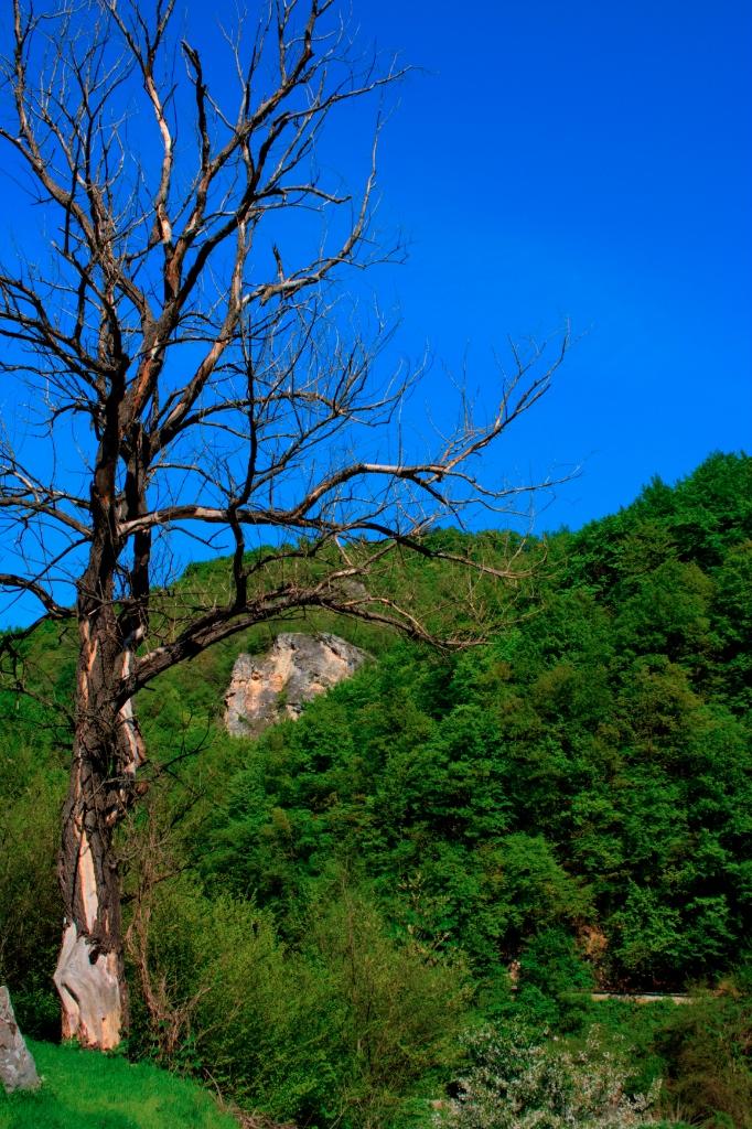 Landscape photograph Blue sky. by Sergey Vasilev on PhotoCodex